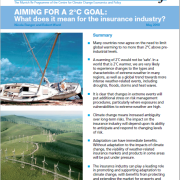 Munich Re Aiming for a 2C Goal cover