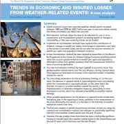 Munich Re Trends in Economic and Insured losses cover